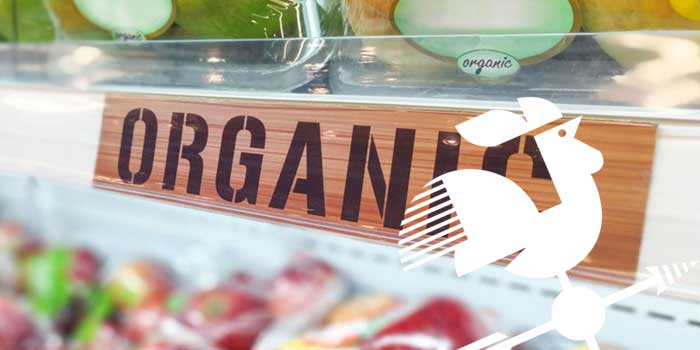 Organik Gıda Dükkanı Nasıl Açılır? | İş Fikirleri